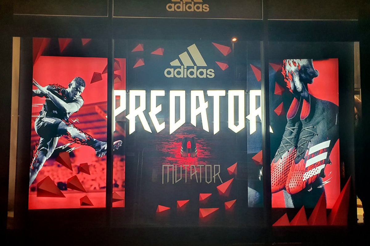 Adidas Predator window
